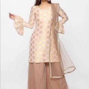 Pakistani Indian suit